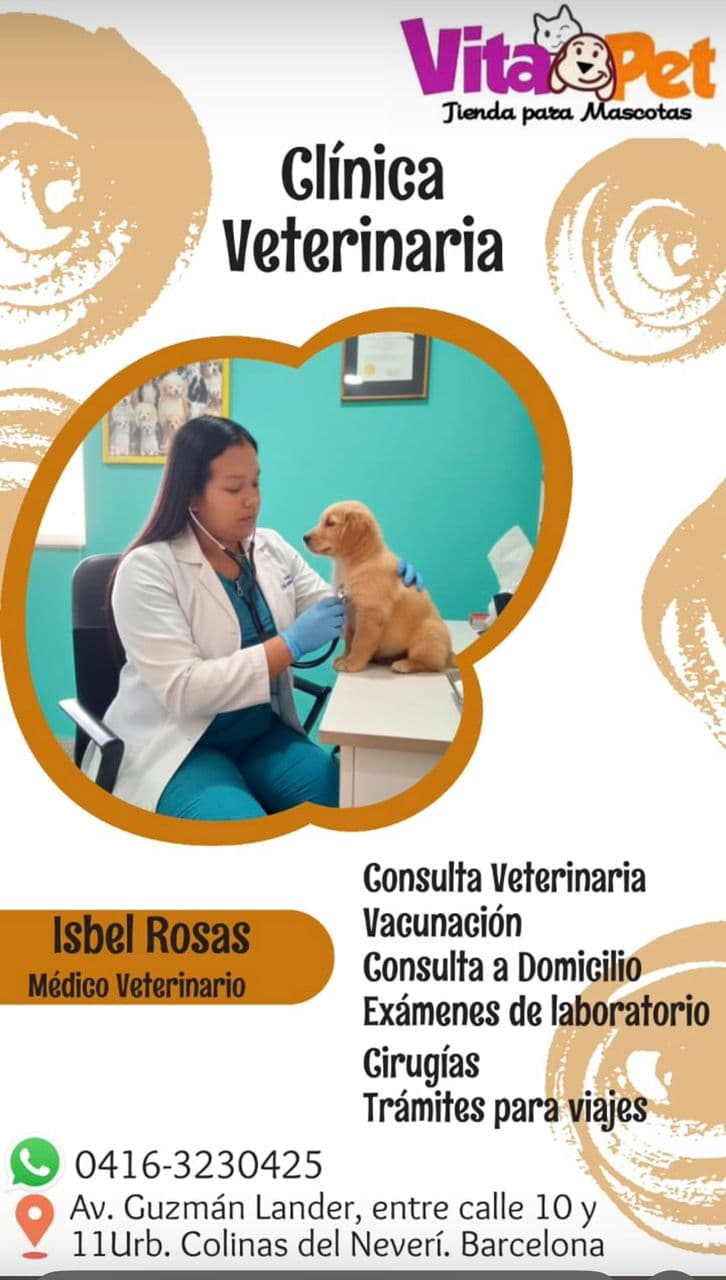 Veterinaria Isbel Rosas examinando a un cachorro dorado con un estetoscopio en su clínica.